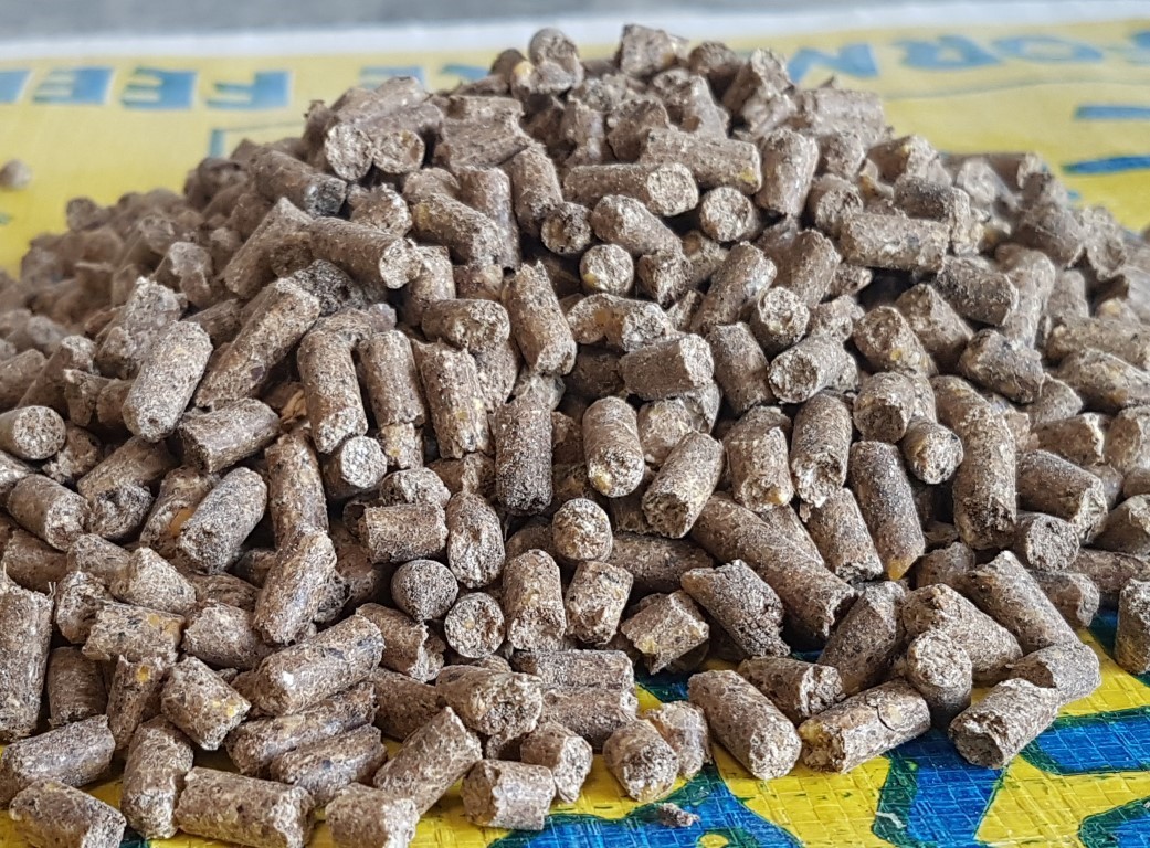 X DAIRY 19% MEAL 40KG