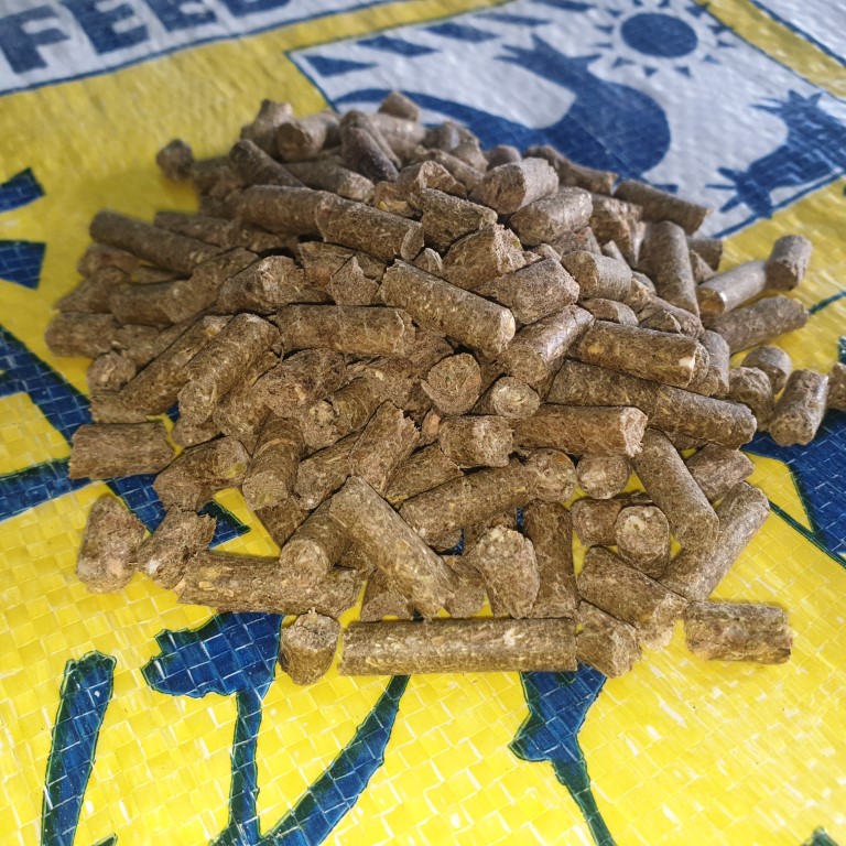 X DIATOM GAME PELLETS 40KG