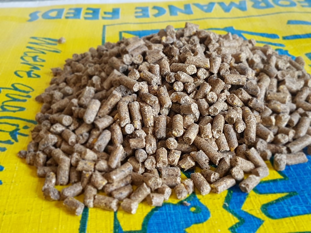X LAYER ECONO PELLETS 40KG