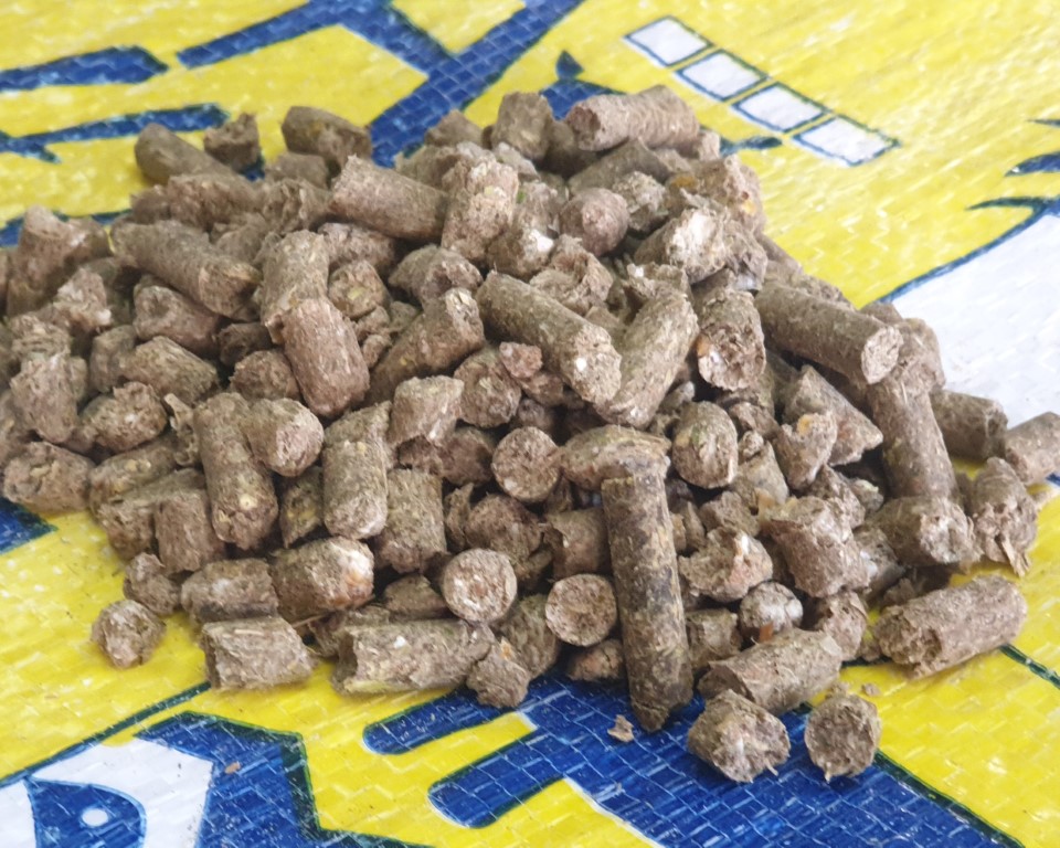 X BEEF FEEDLOT COMPLETE PELLETS 40KG